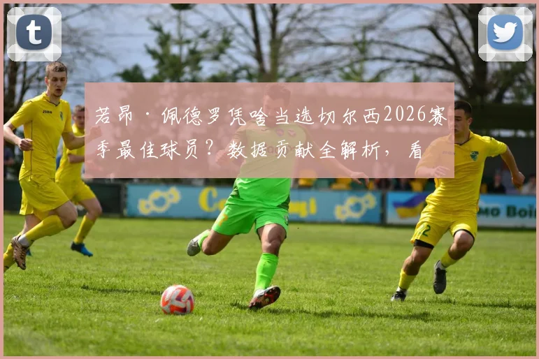 若昂·佩德罗凭啥当选切尔西2026赛季最佳球员？数据贡献全解析，看蓝军为何力挺自家人