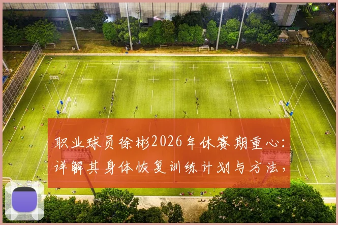 职业球员徐彬2026年休赛期重心：详解其身体恢复训练计划与方法，附运动员状态调整指南