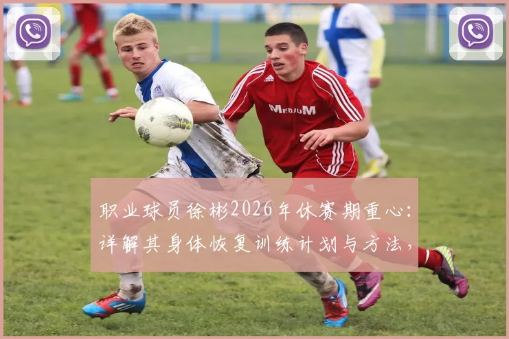职业球员徐彬2026年休赛期重心:详解其身体恢复训练计划与方法,附运动员状态调整指南